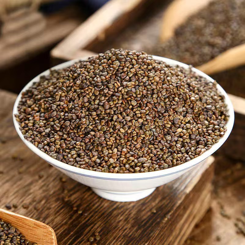 Sha Yuan Zi (Astragalus complanatus) — Dried Food-Herb Seeds for Tea & Daily Nourishment - Image 3