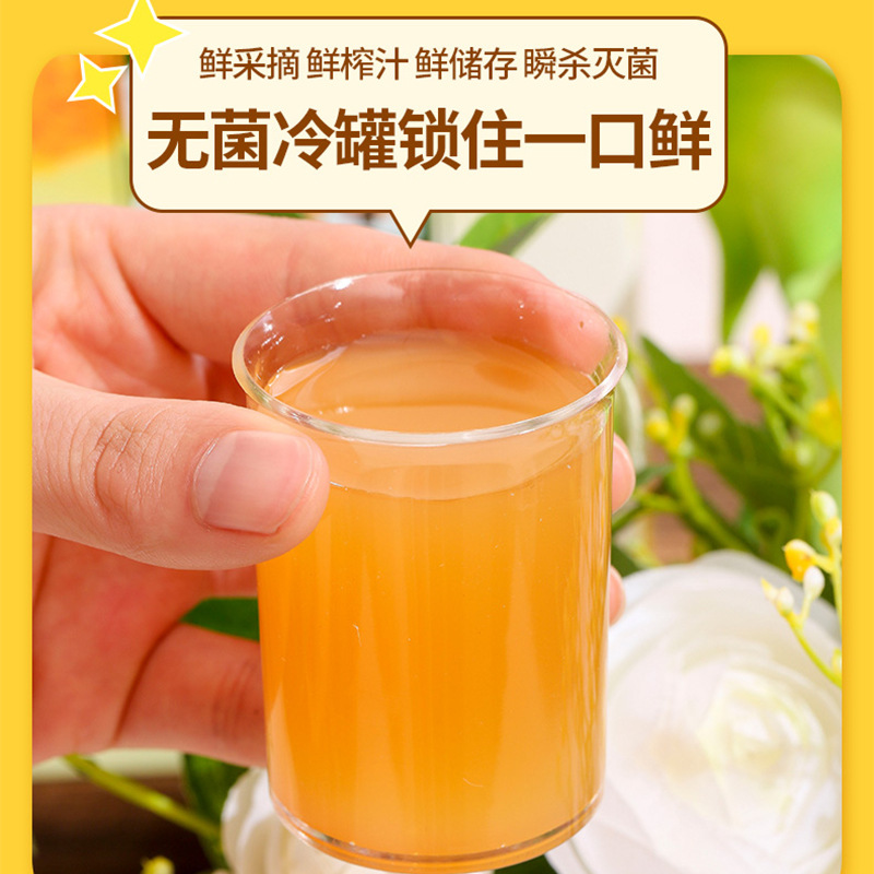 Cili Pear Juice Concentrate 500ml Fresh Fruit Vitamin Oral Liquid Bag Pack - Image 2