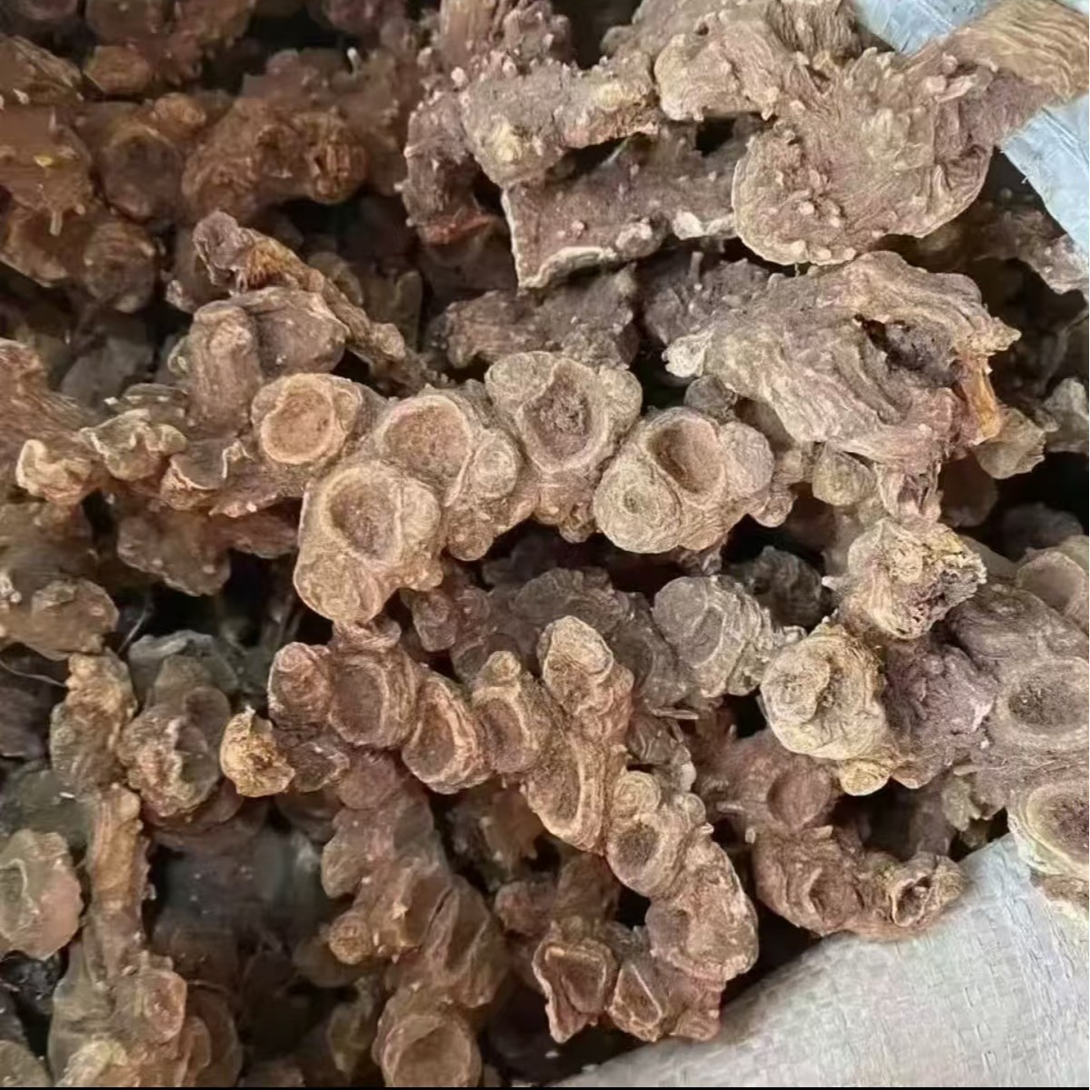 Ba Jiao Lian (Dysosma versipellis) — Dried Chinese Herbal Rhizome, 500g - Image 3