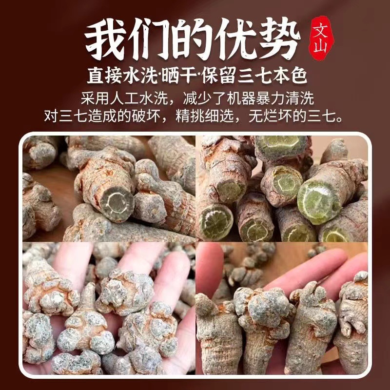 San Qi Notoginseng Root Tian Qi 20 Head Grade Dried Wenshan Panax Notoginseng 250g - Image 3