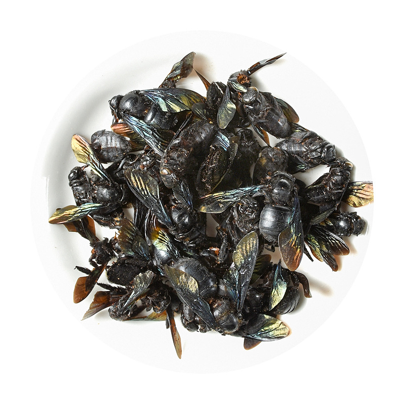 Bamboo Bee (Xylocopa dissimilis) — Dried TCM Insect Material, 500g Bulk Lot - Image 5