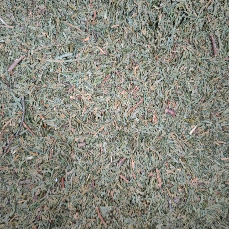 Ce Bai Ye Powder (Platycladus orientalis) — Dried Arborvitae Leaf Herb, 500g - Image 2