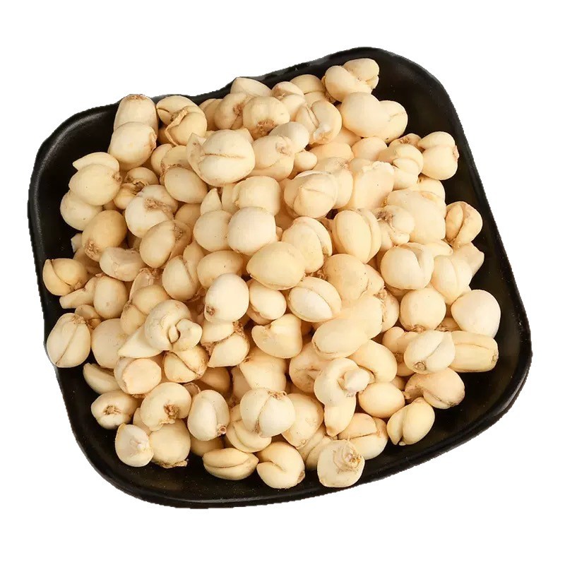 Premium Fritillaria Bulb 50g Box Dried Herbal Decoction Pieces for Traditional Herbal Tea and Soup - Image 5