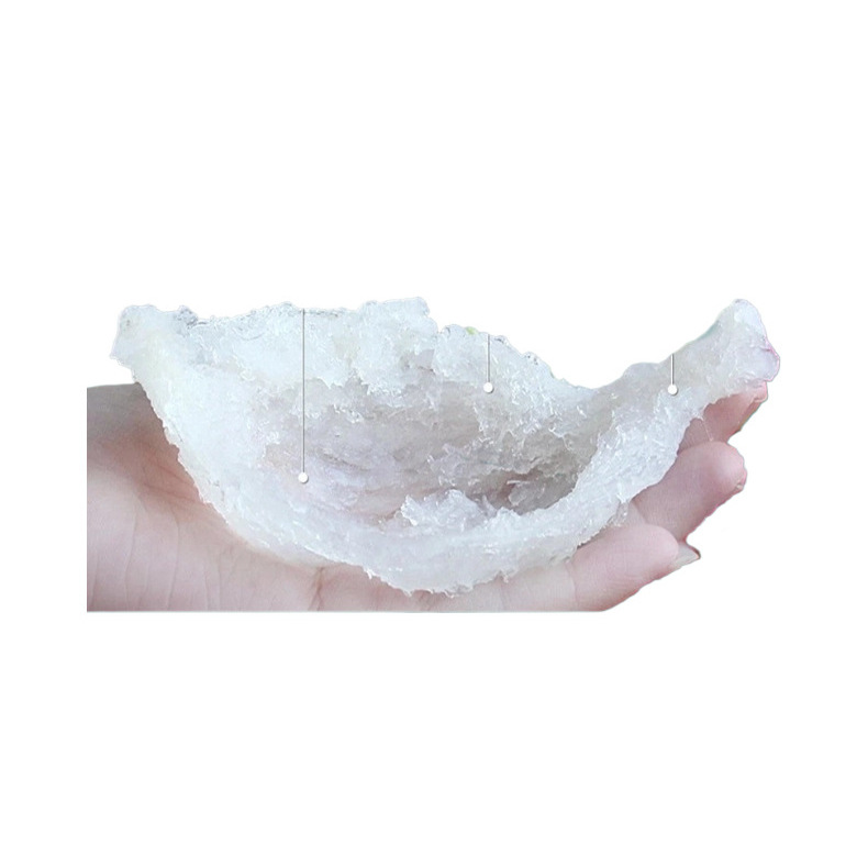 Premium White Bird's Nest Yan Wo Golden Swiftlet Nest Cups 100g Gift Box for Nourishing Soups - Image 5