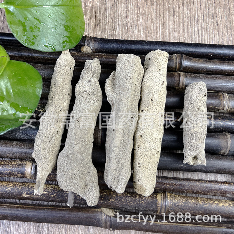 Zi Xiao Hua Dried Freshwater Sponge Herb Traditional TCM Botanical Material - Image 4