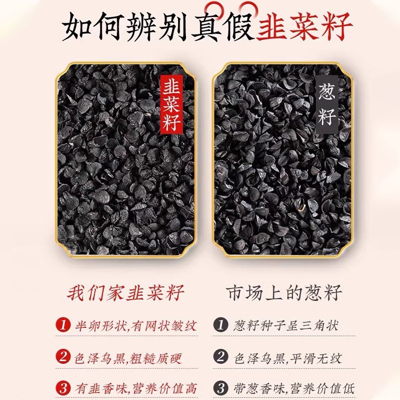 Jiu Cai Zi Chinese Chive Seeds Roasted Herbal Tea Ingredient 500g - Image 3
