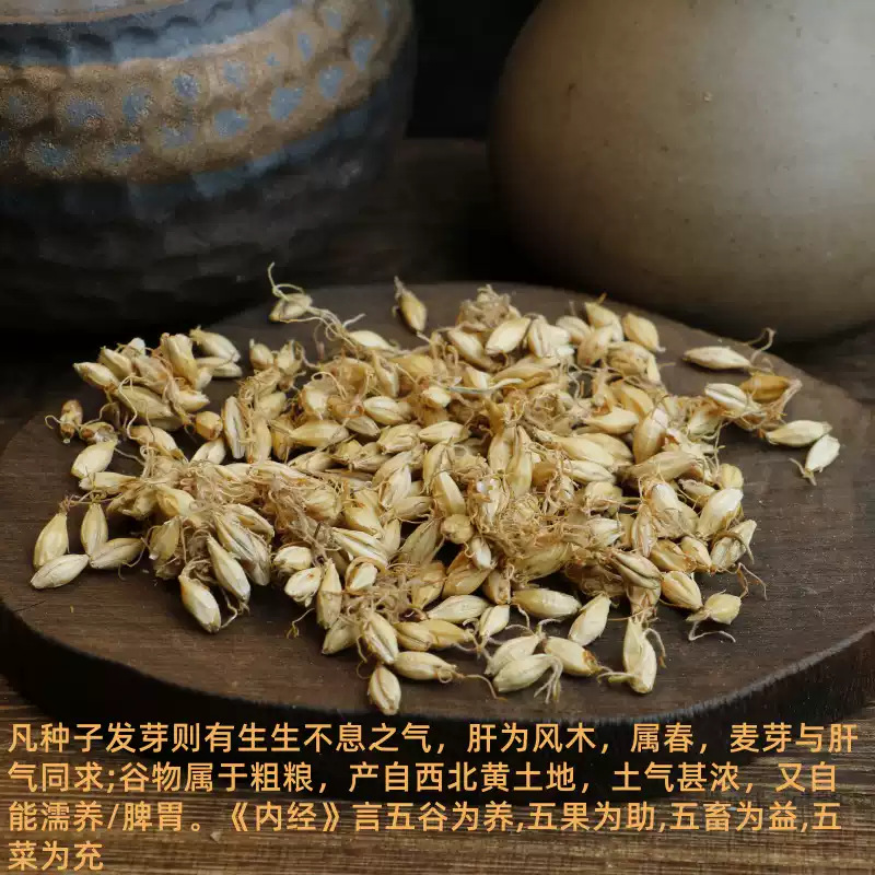 Dried Malt Barley Sprout Mai Ya 500g Natural Sun Dried Chinese Herbal Ingredient - Image 3