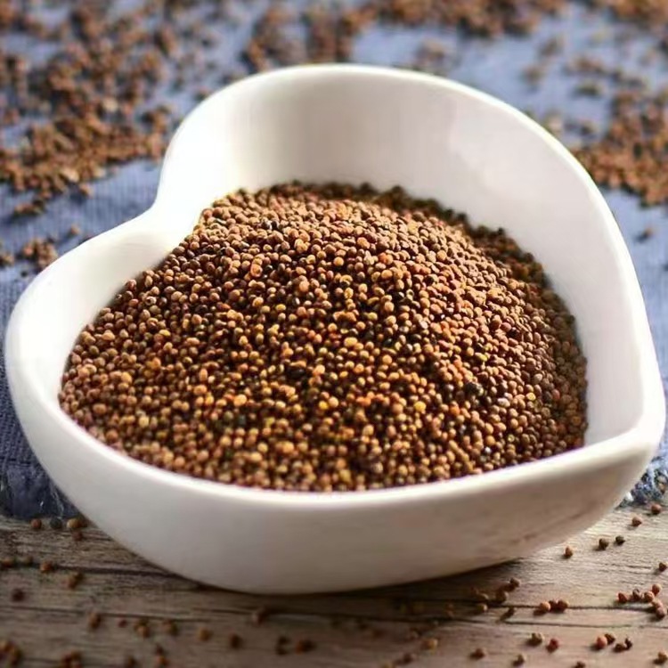 Tu Si Zi (Cuscuta chinensis) — Dried Food-Herb Seeds from Inner Mongolia for Tea & Water - Image 2