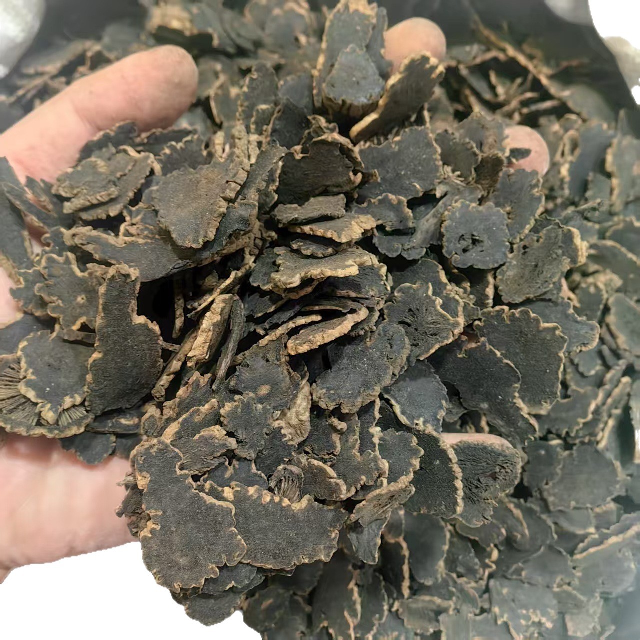 Xuan Shen Figwort Root Powder 500g Traditional Chinese Herb Scrophularia ningpoensis - Image 5