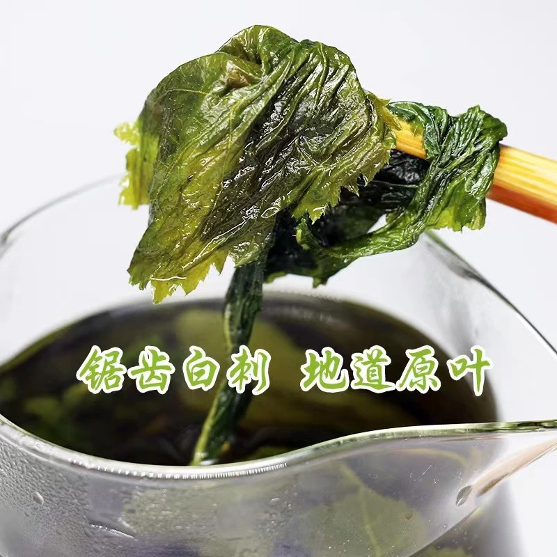 Siberian Ginseng Leaf Ci Wu Jia 50g Bottle Dried Changbai Mountain Herb for Tea and Decoction - Image 3