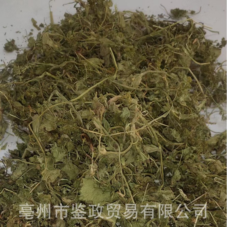 Lady's Mantle Leaf Pi Feng Cao Dried Herb Traditional Herbal Tea and Culinary Use Sealed Bag - Image 2