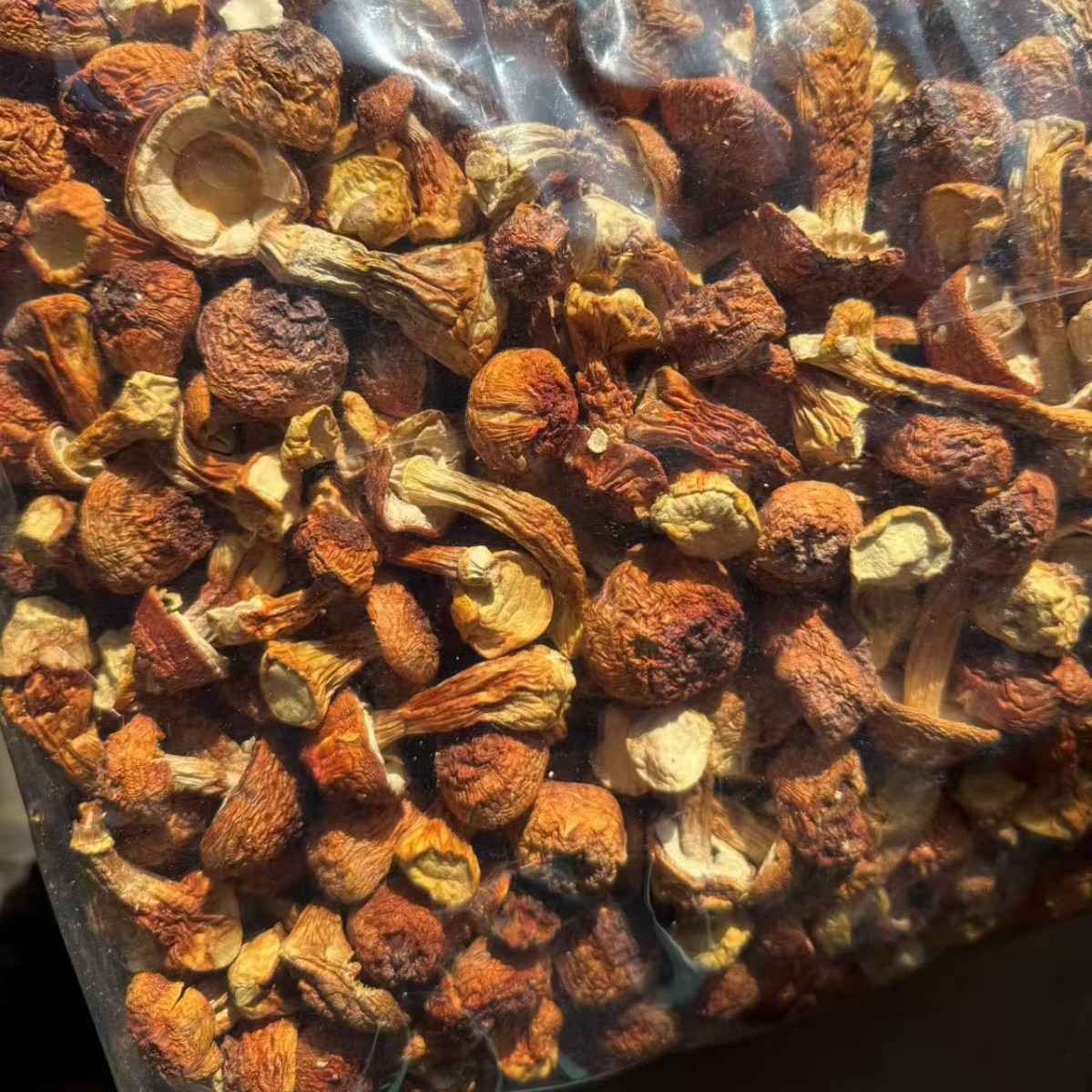 Dried Agaricus blazei Mushroom Slices Ji Song Rong 500g Edible Dried Mushroom for Soup and Tea - Image 4