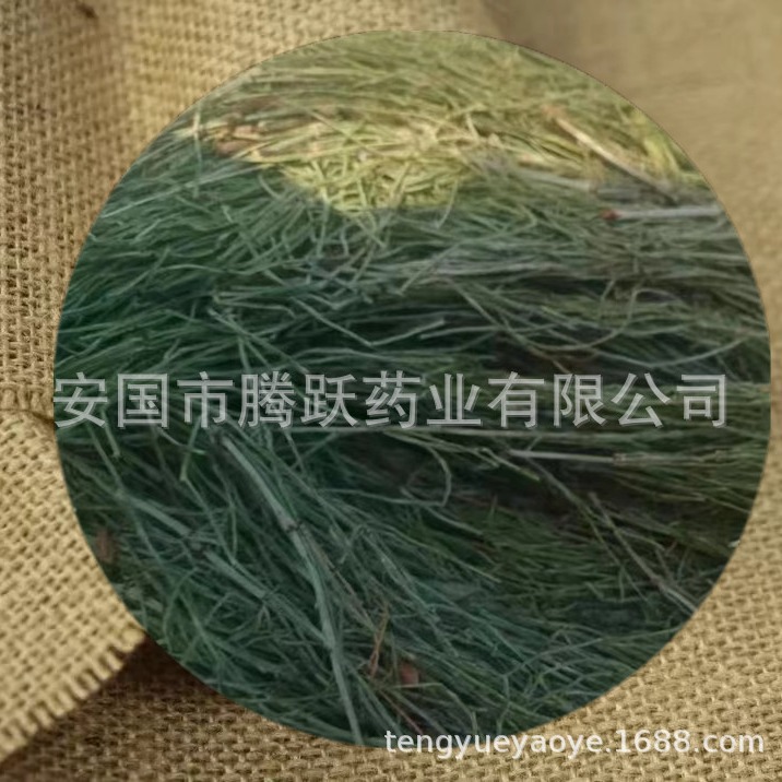 Dried Horsetail Herb Wen Jing 问荆 Whole Plant Bulk Chinese Botanical Tea Herb - Image 2
