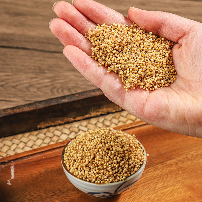 Dried Rice Sprout Gu Ya 500g Bulk Grain Sprouted Rice Herb for Decoction and Culinary Use - Image 3