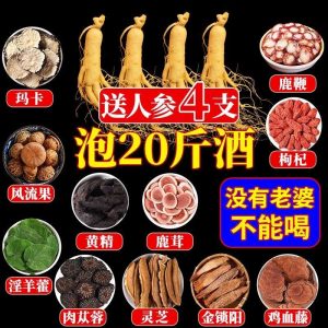 38-Herb Wine-Soaking Botanical Blend (药食同源) — Traditional Male Nourishment Herbal Pack with 4 Ginseng Roots