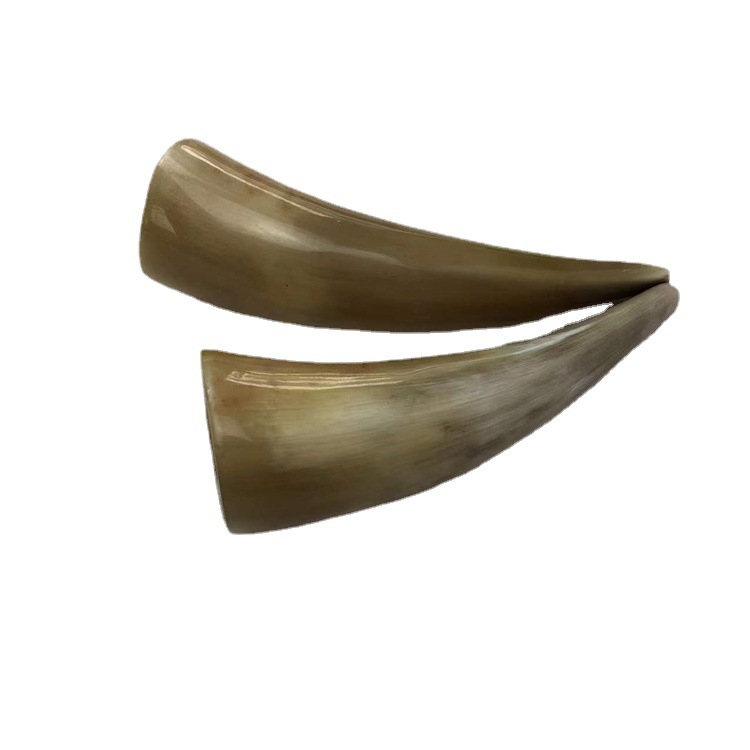 Horn Fire Cupping Set 16 Pieces Buffalo Horn Guan Guan 13-20 cm Meridian Massage Tool for Spa and Body Use - Image 5
