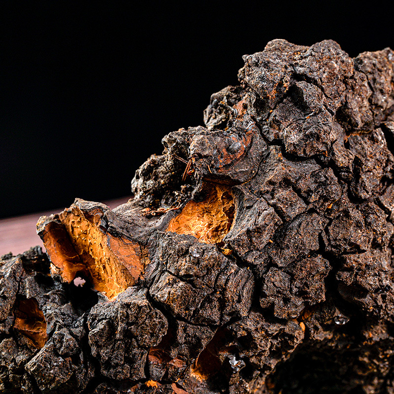 Chaga Mushroom Powder (Inonotus obliquus) — Wild Northeast Birch Chaga, 500g - Image 3
