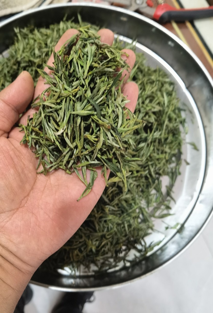 Huoshan Huangya Yellow Tea 2026 Spring Loose Leaf 250g Rich Aroma Grade One - Image 5