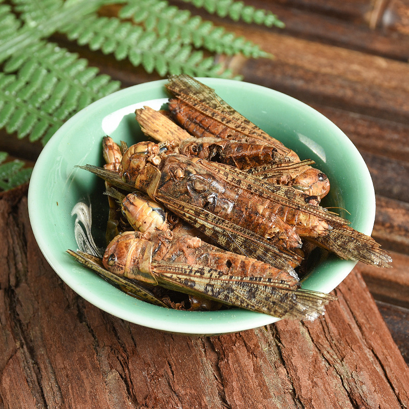 Dried Locust (Locusta migratoria) — Edible Farm-Raised Grasshopper, 500g Bulk Food Ingredient - Image 2