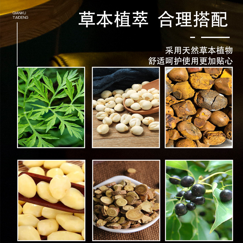 Moxa Acupoint Patches for Sanfu Summer and Sanjiu Winter Seasonal Use 30 Patches - Image 2