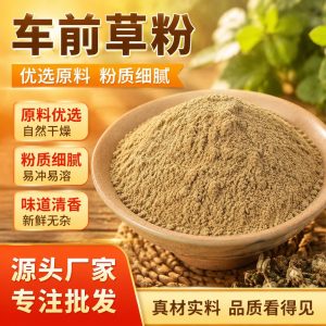 Plantain Herb Powder (Plantago asiatica) — Finely Ground Che Qian Cao, Food-Herb Botanical Powder