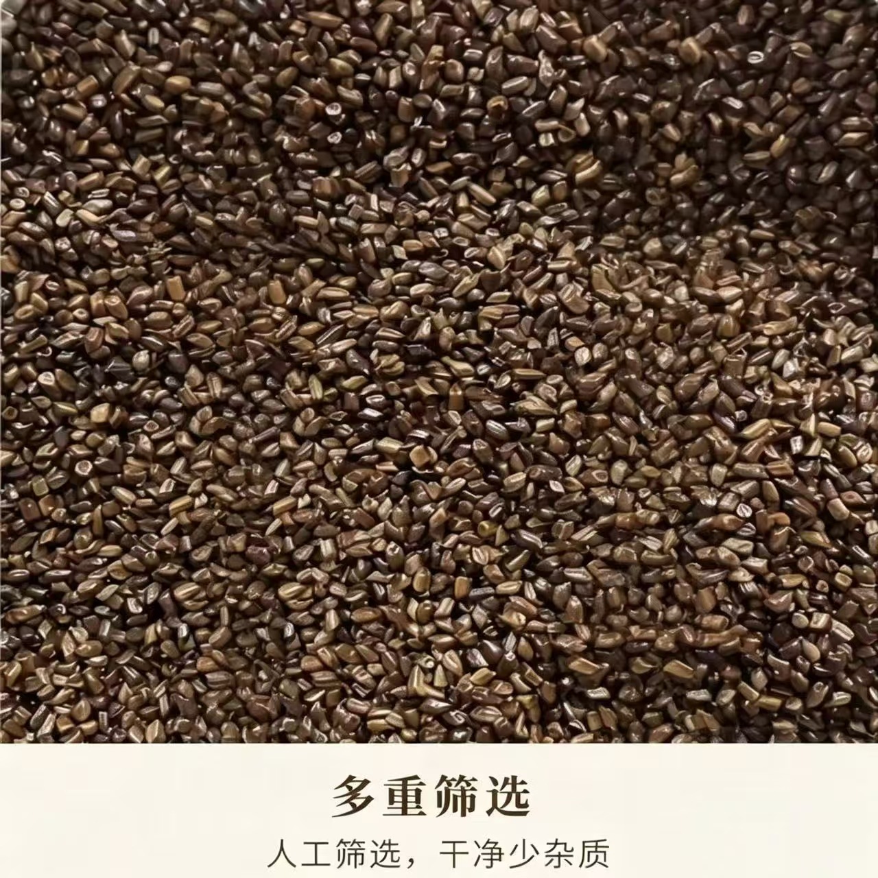 Cassia Seed Jue Ming Zi Dried Whole Seeds 1000g Herbal Tea Ingredient Bulk Pack - Image 4