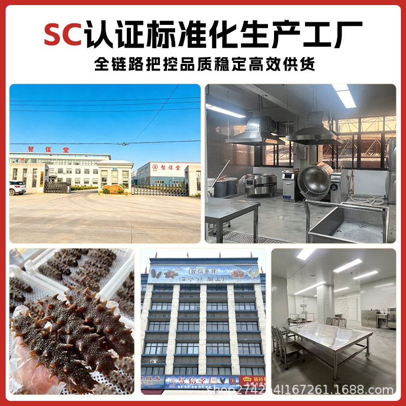 Ready to Eat Sea Cucumber 500g Individually Packed Frozen Liaoning Style Sea Cucumber - Image 2