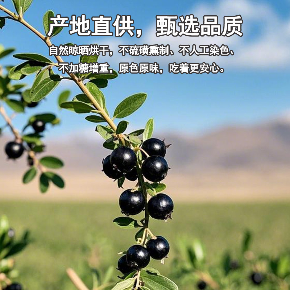 Dried Black Goji Berries Hei Gou Qi Zi Qinghai Origin Bulk 1kg Large Grade A Unsulfured - Image 2