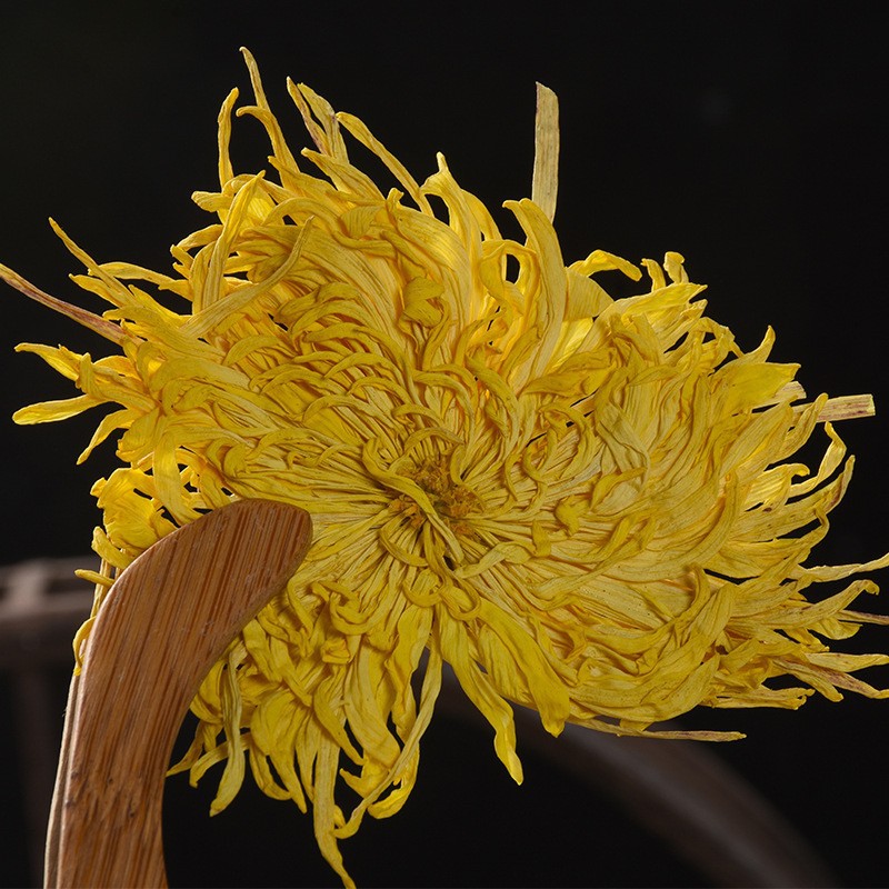 Golden Silk Imperial Chrysanthemum Tea (Chrysanthemum morifolium) — Dried Flower Herbal Tea, One Bloom Per Cup - Image 3