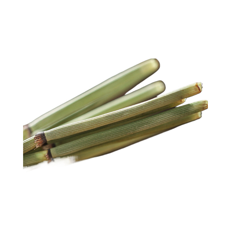 Dried Horsetail Herb Mu Zei Cao Cut Stems Traditional Herbal Tea 500g - Image 5