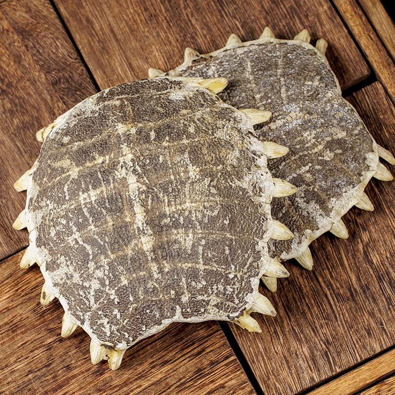 Bie Jia (Trionyx sinensis Carapace) — Vinegar-Processed Soft-Shell Turtle Shell, Dried TCM Herb - Image 2
