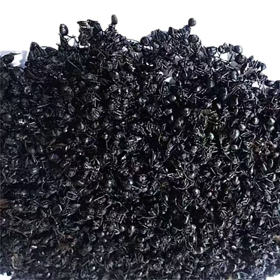 Black Ant Dried Whole (Polyrhachis vicina) — Food-Herb TCM Ingredient 500g - Image 4