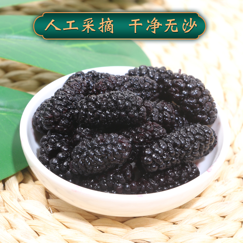 Dried Mulberry Fruit Sang Shen Zi Xinjiang Black Mulberries for Tea Wine and Snacking Loose Dried Fruit - Image 3