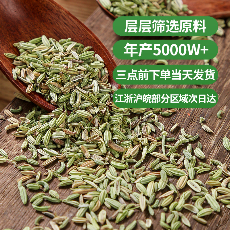 Fennel Seeds (Foeniculum vulgare) — Dried Food-Herb Spice for Culinary & Wellness Use - Image 3