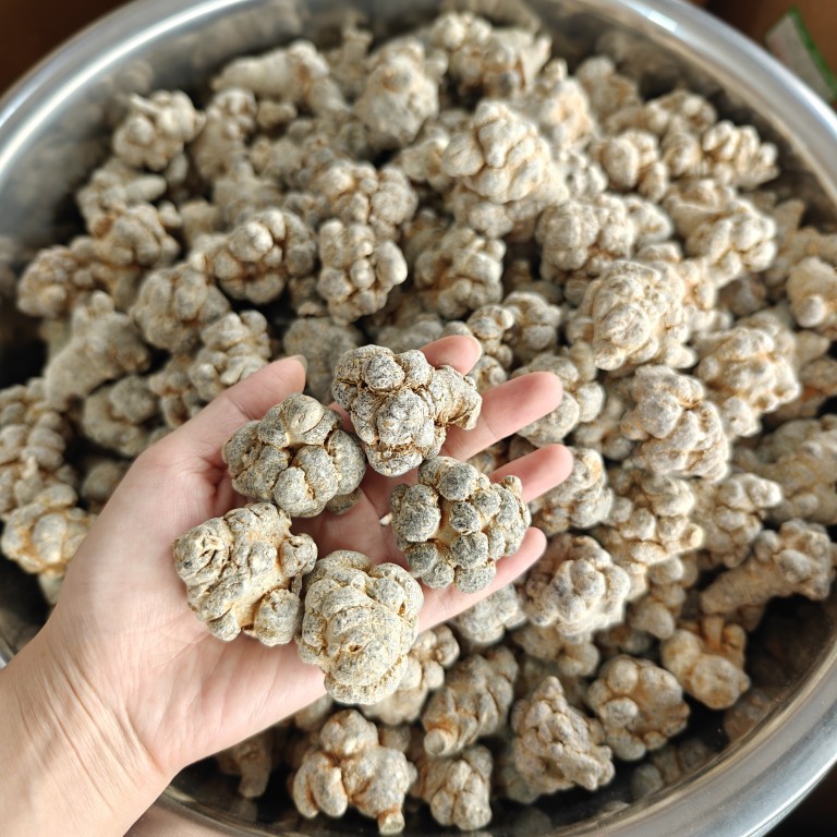 San Qi Notoginseng Root Whole Dried Tian Qi 500g for Soup and Decoction - Image 4