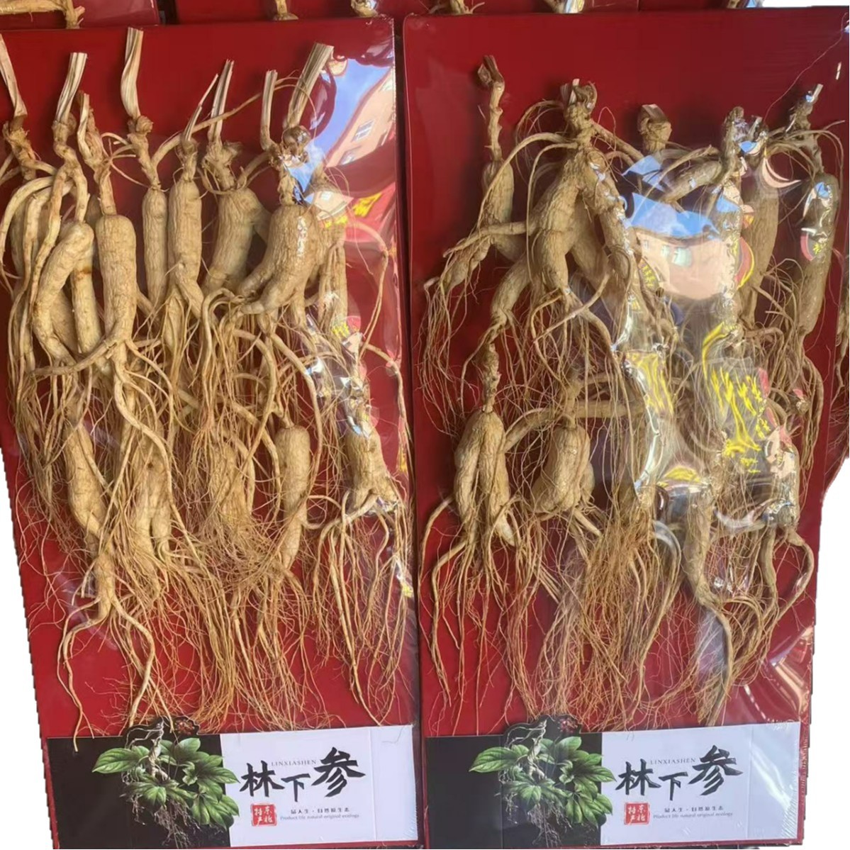 Wild-Simulated Ginseng Slightly Imperfect Roots 200g Dried for Cooking and Decoction - Image 5
