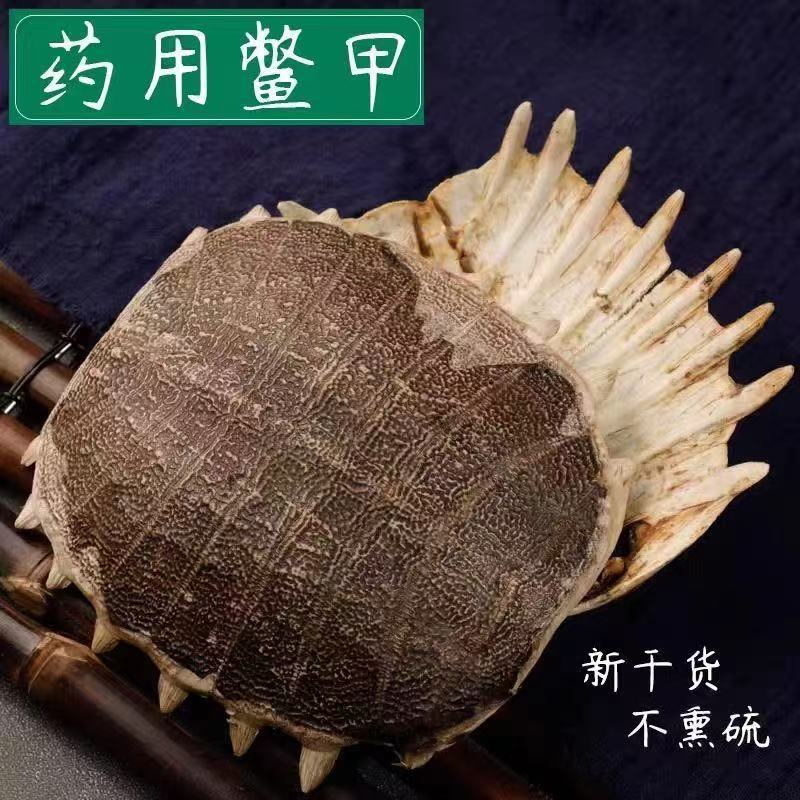 Bie Jia (Trionyx sinensis) Dried Turtle Shell Pieces — Traditional Chinese Herb, 500g - Image 4