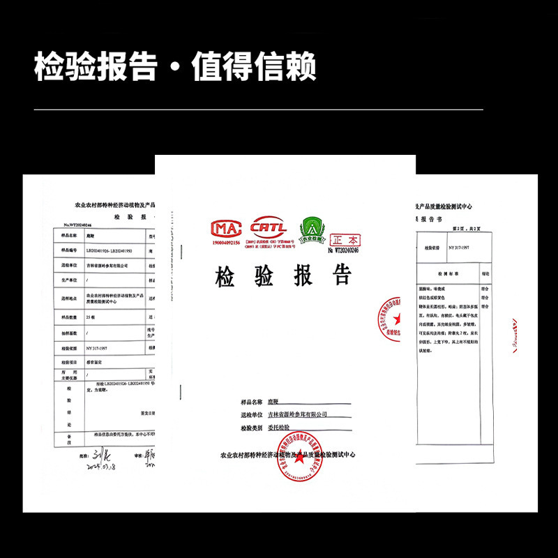 Dried Deer Penis Whole Piece Jilin Changbai Mountain Traditional Tonic Ingredient for Cooking - Image 2