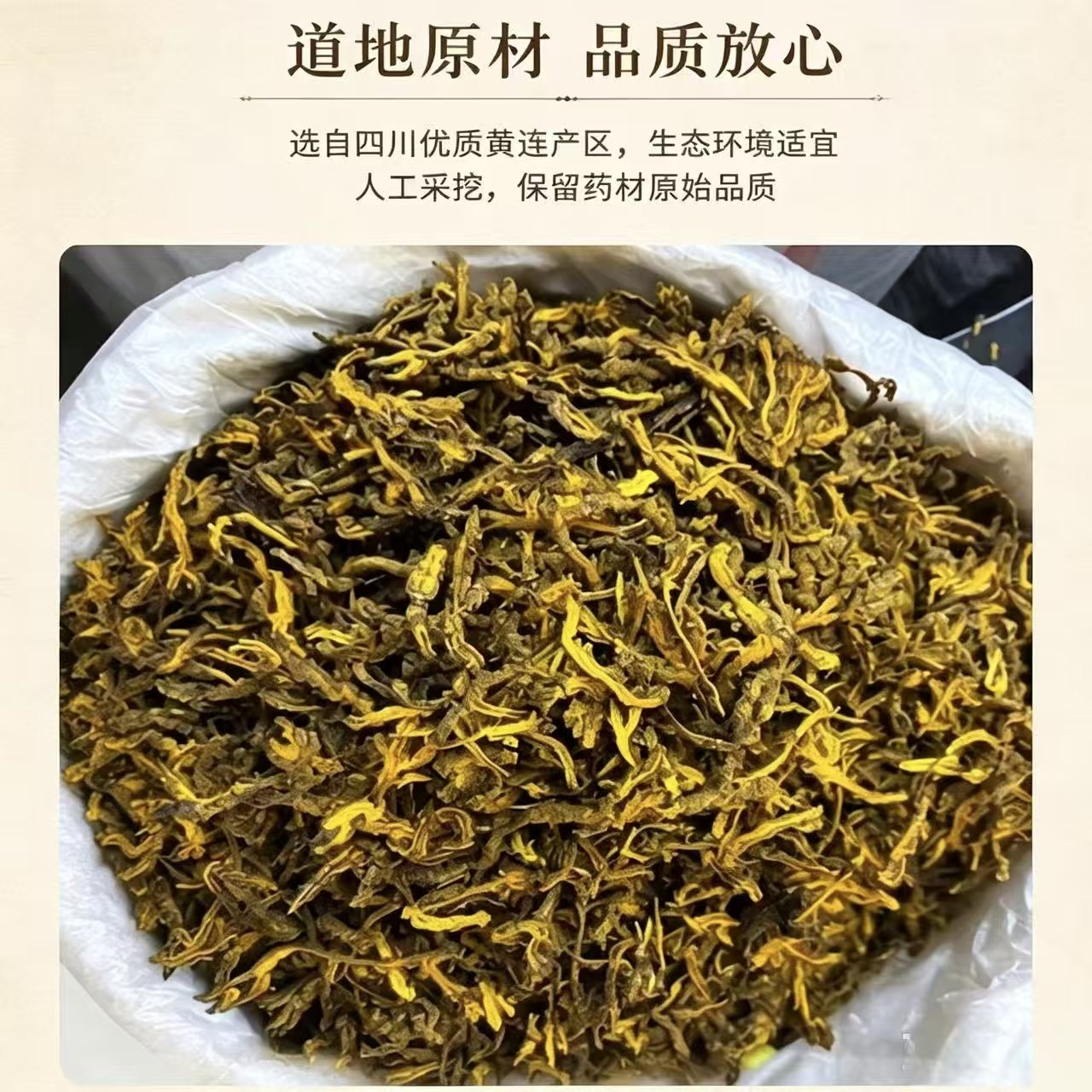 Sichuan Coptis Root Huang Lian Dried Chinese Herb Clean Raw Material 1000g Bag - Image 2