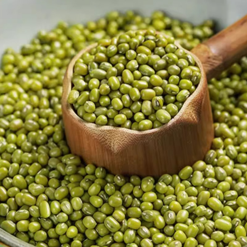 Mung Bean (Vigna radiata) — Dried Food-Herb Legume for Congee, Soups & Cooling Teas, 500g - Image 3
