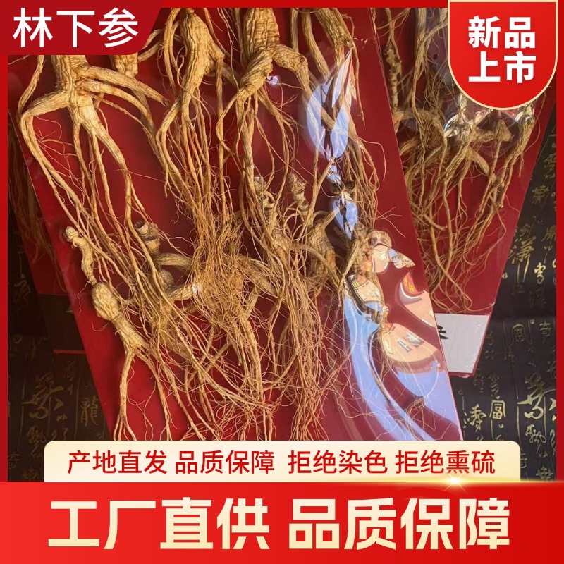 Dried Forest Ginseng Root Slices 100g Sun Dried Jilin Ginseng for Cooking and Decoction - Image 4