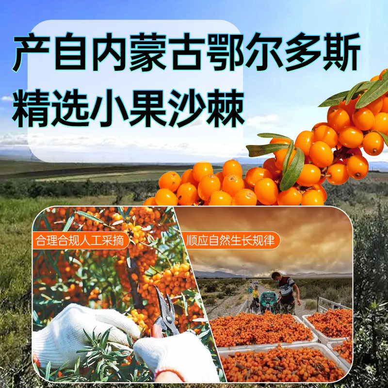 Sea Buckthorn Juice Puree 300ml Portable Spout Pouch Inner Mongolia Sourced - Image 3