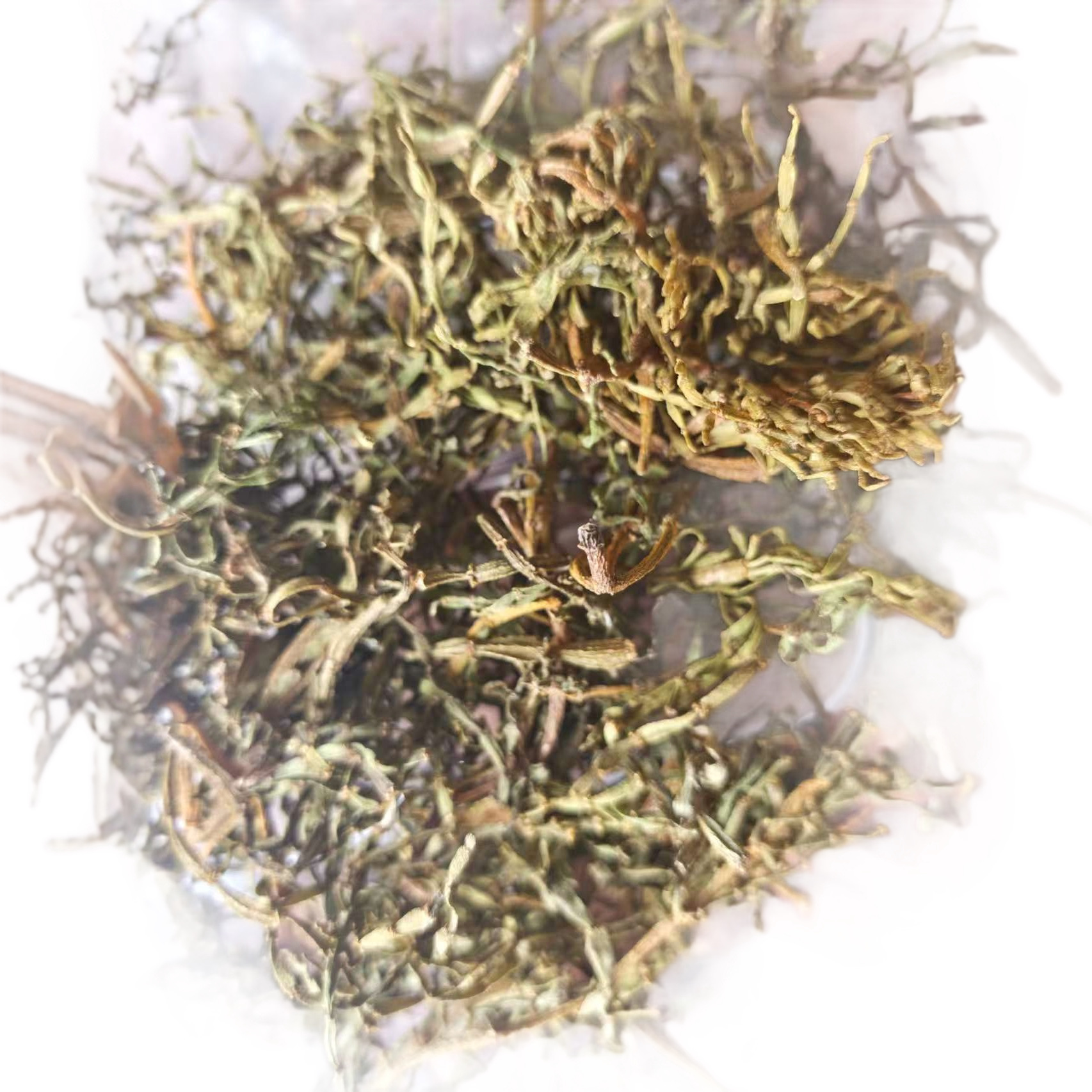 Pang Xie Jiao (Viscum articulatum) — Wild Yunnan Ancient-Tree Herbal Tea Twig, 100g - Image 5