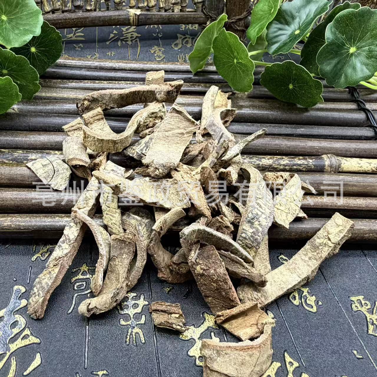 Dried Tujingpi Bark TCM Herb Tu Jing Pi Pseudolarix Bark for Traditional Decoction and External Herbal Use - Image 4