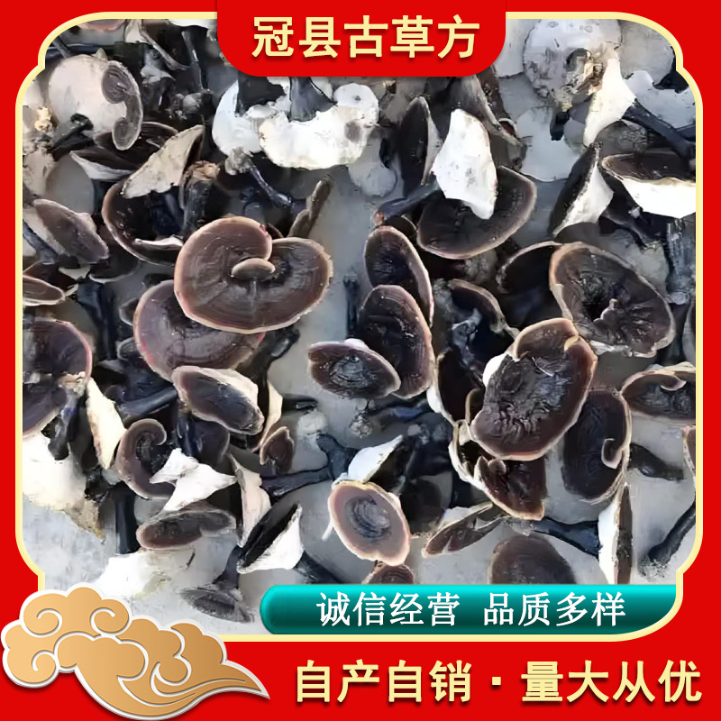 Dried Bamboo Reishi Mushroom Slices Mild Flavor for Tea Wine and Soup 500g - Image 4