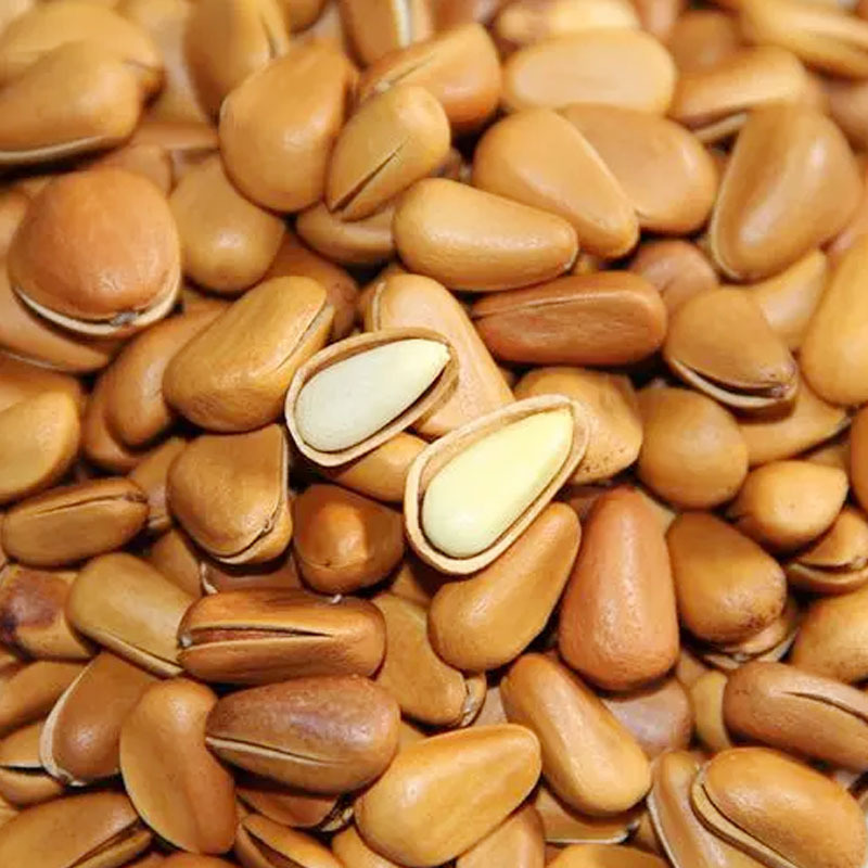 Pine Nut Kernels (Pinus koraiensis) — Raw Shelled Song Zi Ren, 500g Northeast Pine Nuts - Image 2