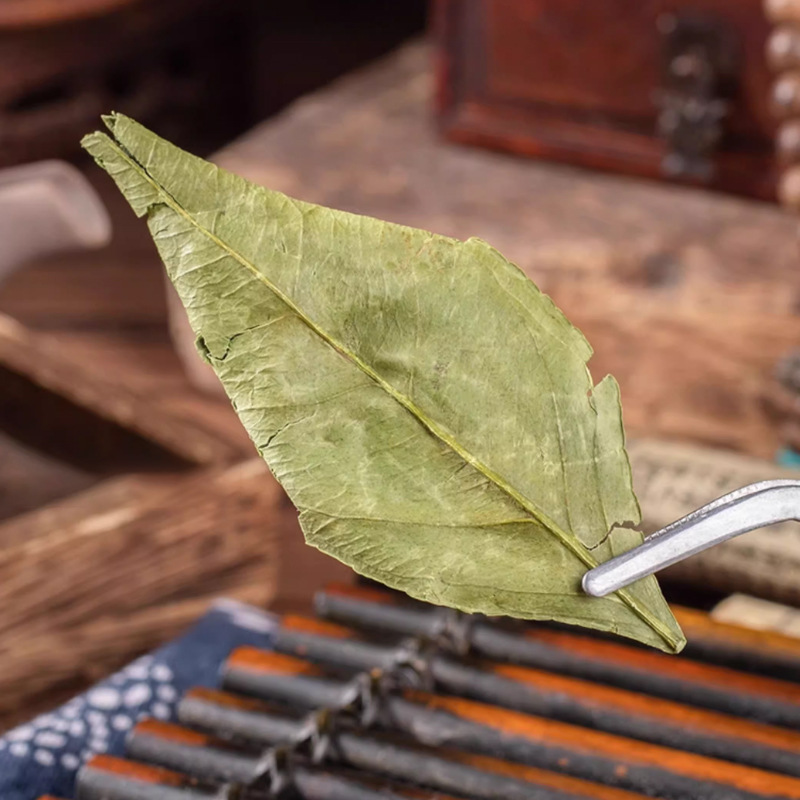 Dried Kumquat Leaf Jin Ju Ye 50g Pack Natural Sun Dried Loose Herb for Traditional Herbal Tea and Decoction - Image 2