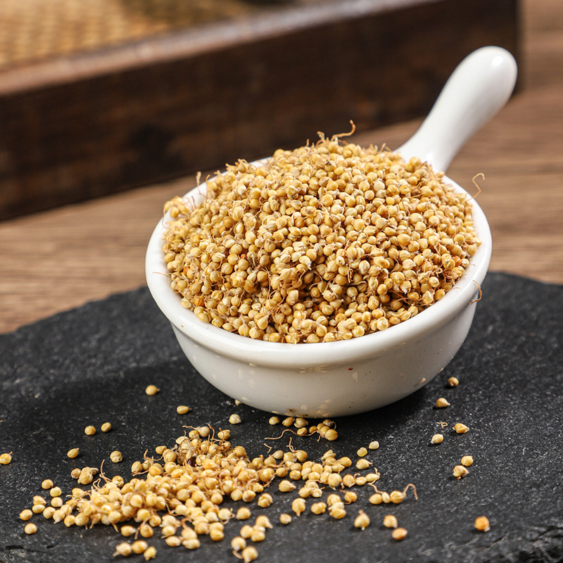 Dried Rice Sprout Gu Ya 500g Bulk Grain Sprouted Rice Herb for Decoction and Culinary Use - Image 2