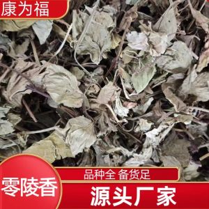 Ling Ling Xiang Powder (Lysimachia foenum-graecum) — Dried Aromatic Herb, 500g