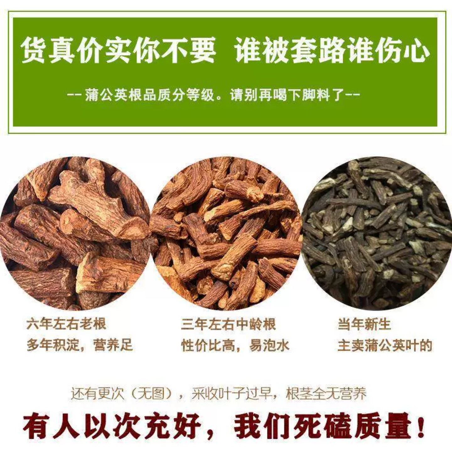 Roasted Dandelion Root Tea Pu Gong Ying Gen 250g Canister Dried Coarse Root Herbal Infusion - Image 3